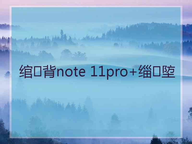 绾㈢背note 11pro+缁埅