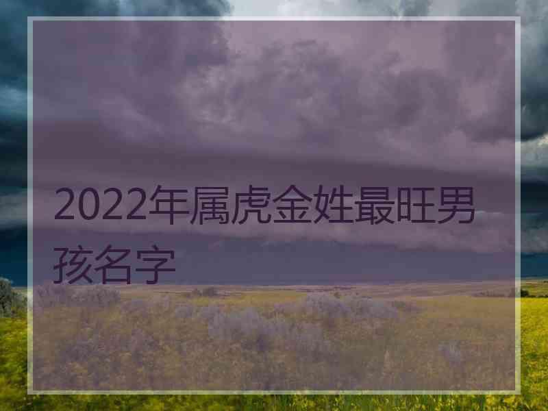 2022年属虎金姓最旺男孩名字