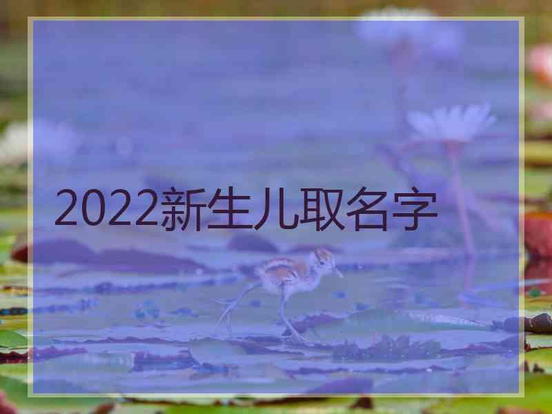 2022新生儿取名字