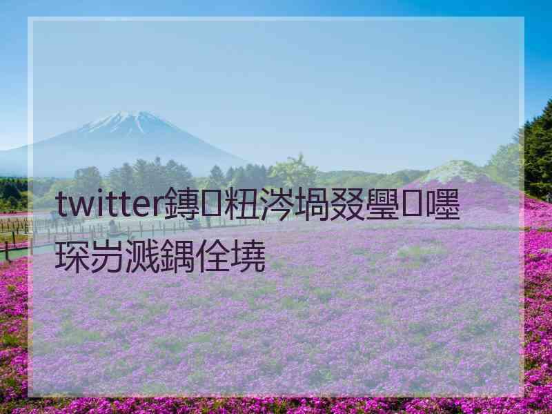 twitter鏄粈涔堝叕璺嚜琛岃溅鍝佺墝