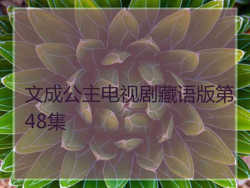 文成公主电视剧藏语版第48集