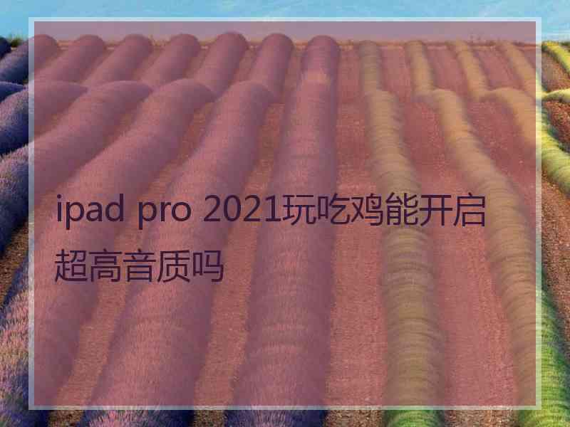 ipad pro 2021玩吃鸡能开启超高音质吗