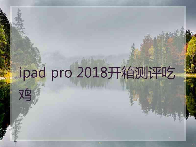 ipad pro 2018开箱测评吃鸡