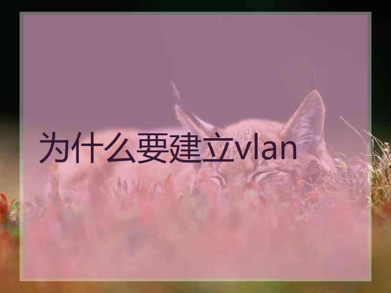 为什么要建立vlan