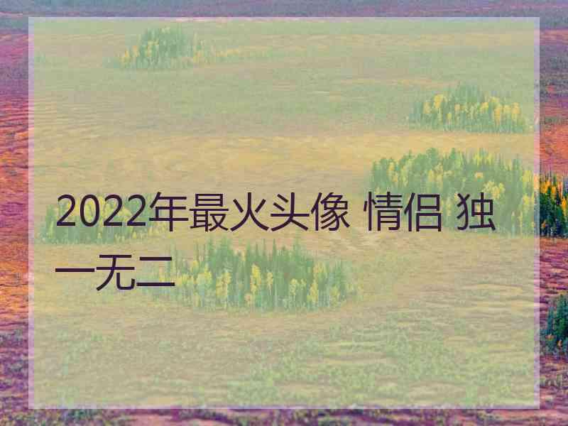 2022年最火头像 情侣 独一无二