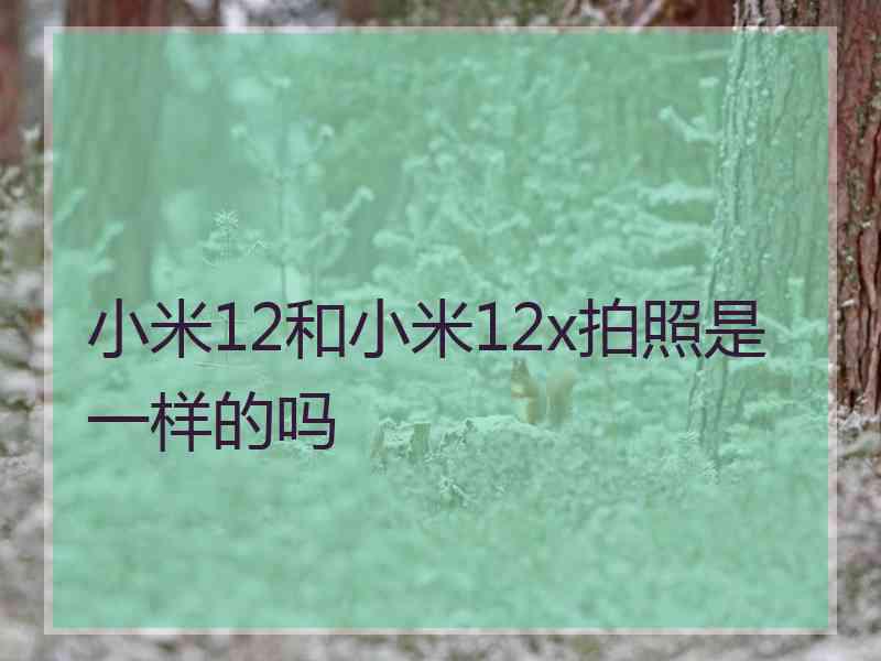 小米12和小米12x拍照是一样的吗