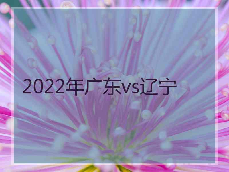 2022年广东vs辽宁