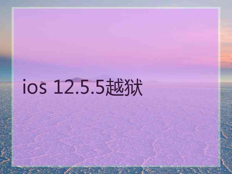 ios 12.5.5越狱