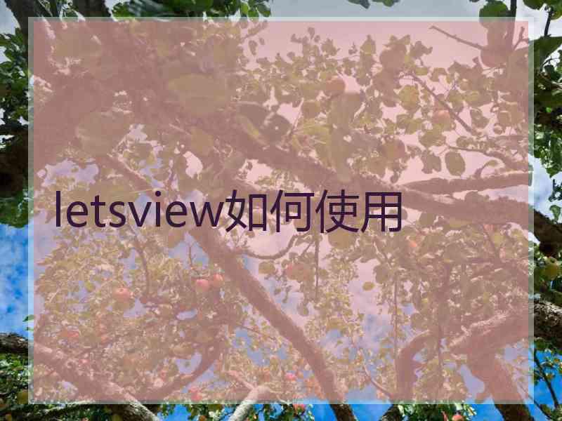 letsview如何使用