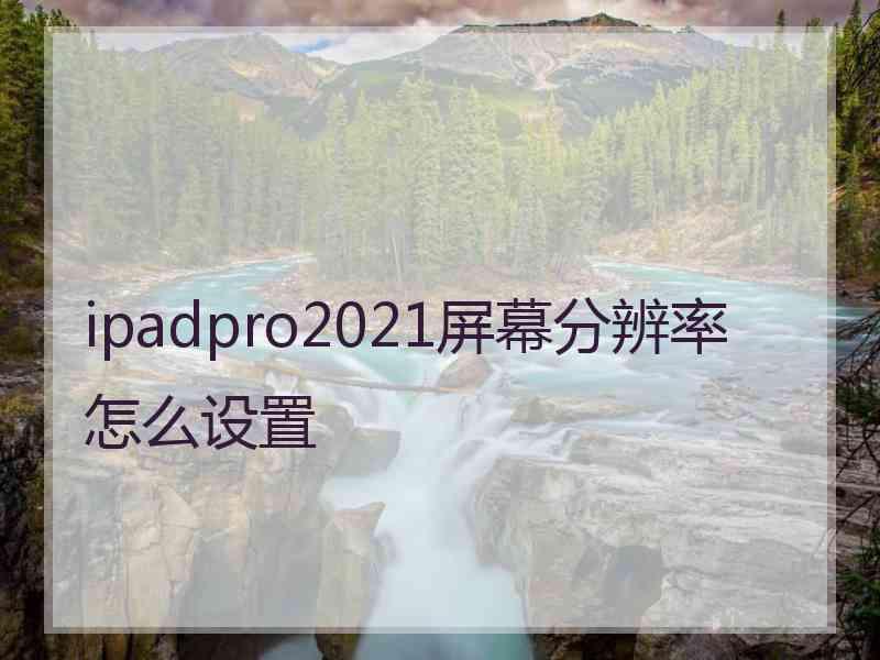 ipadpro2021屏幕分辨率怎么设置