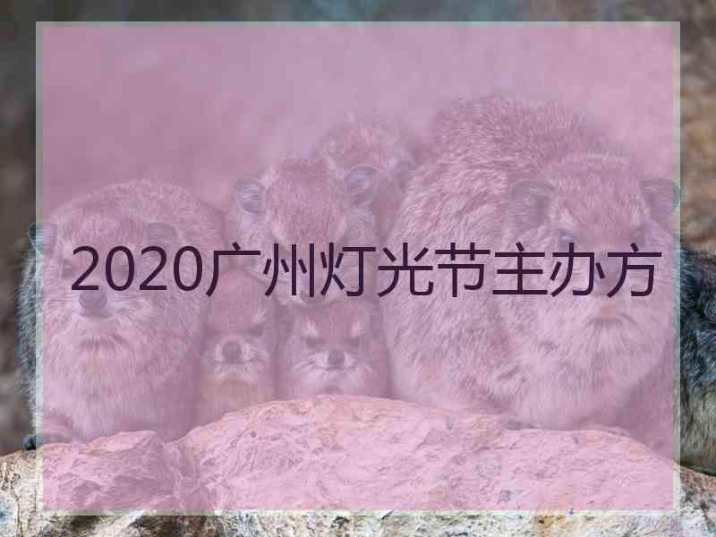 2020广州灯光节主办方