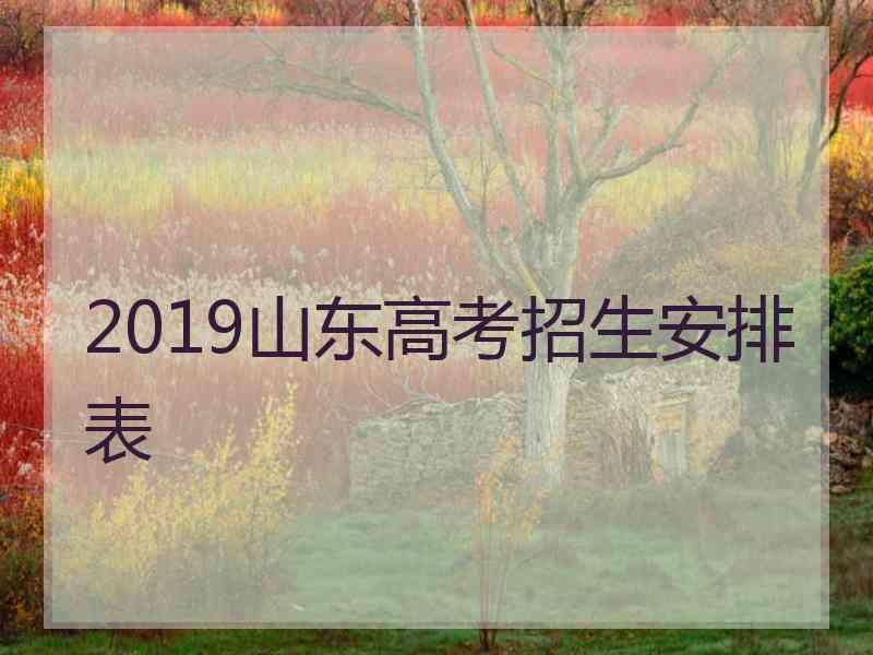 2019山东高考招生安排表