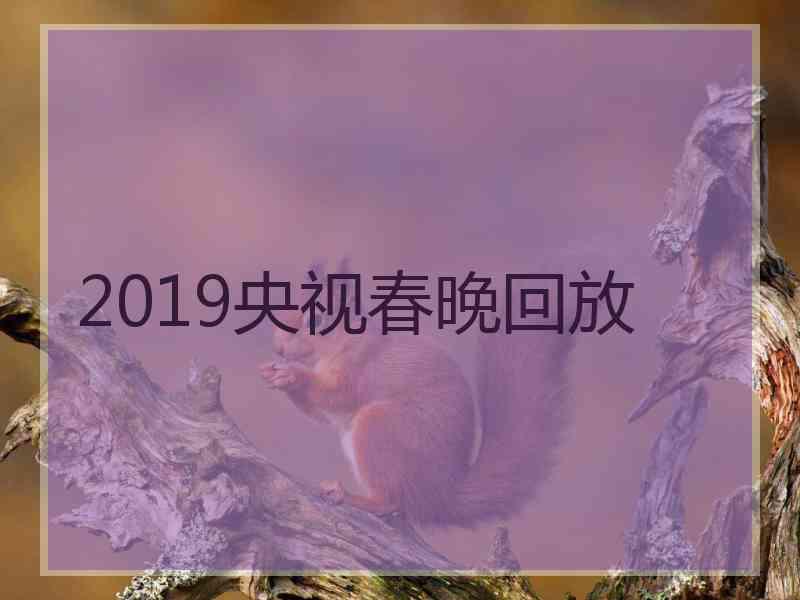 2019央视春晚回放