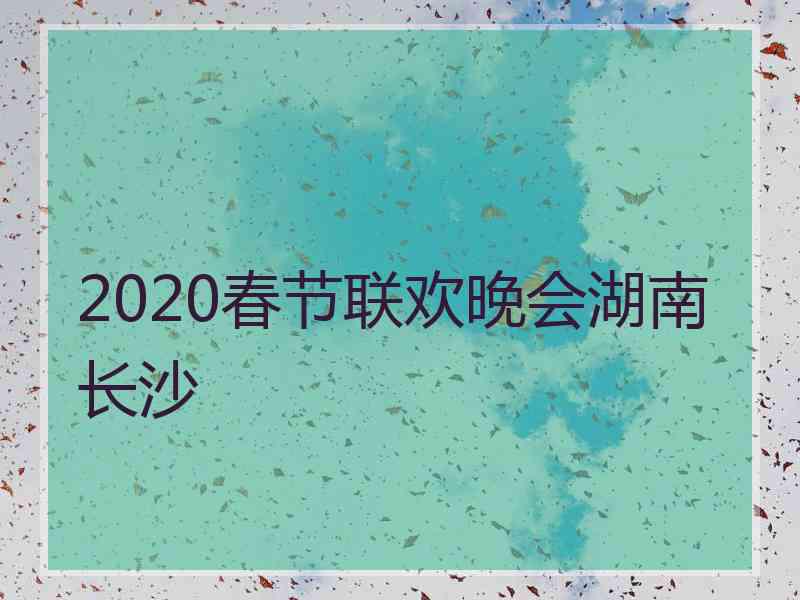 2020春节联欢晚会湖南长沙