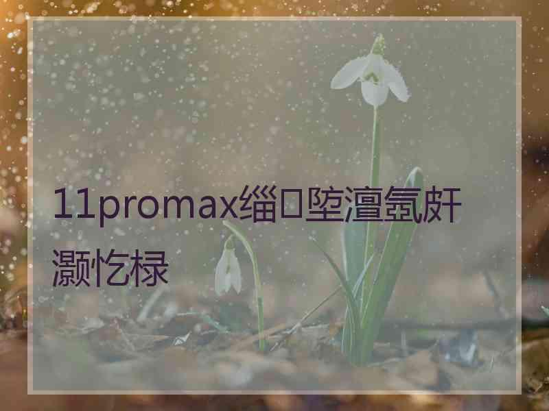 11promax缁埅澶氬皯灏忔椂