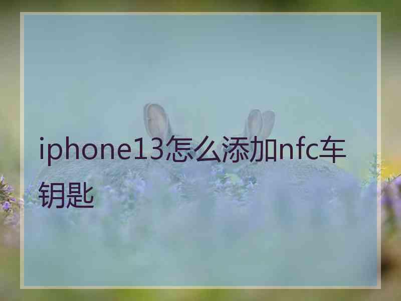 iphone13怎么添加nfc车钥匙