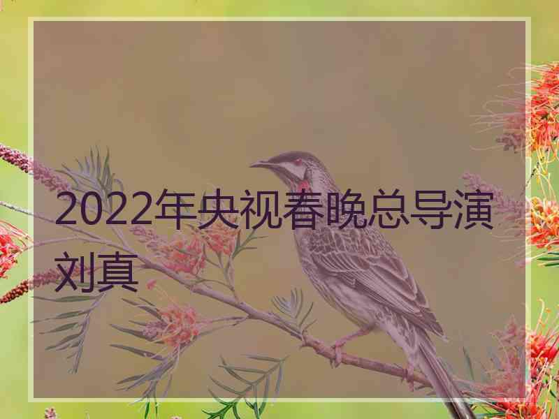 2022年央视春晚总导演刘真