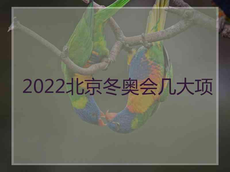 2022北京冬奥会几大项