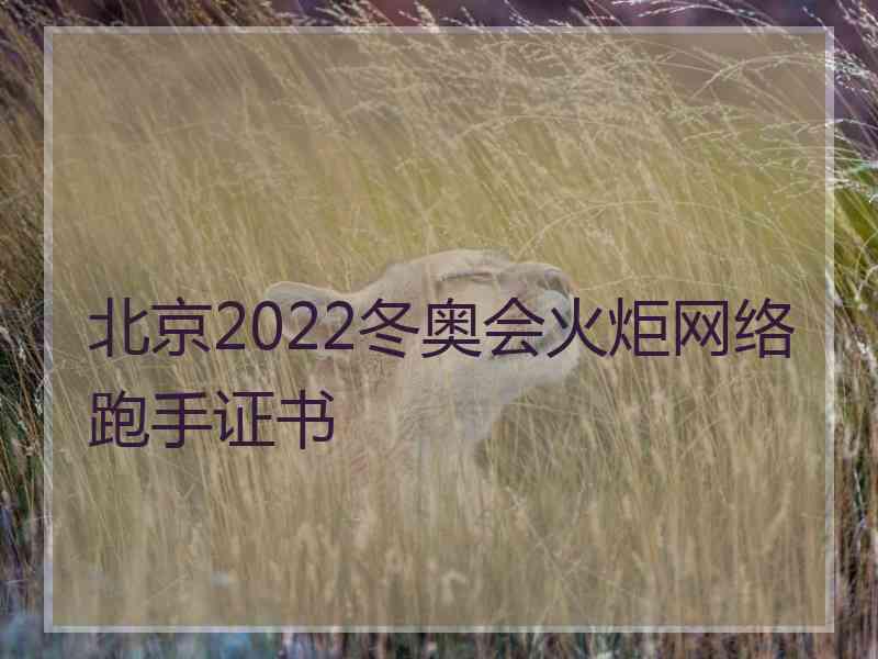 北京2022冬奥会火炬网络跑手证书