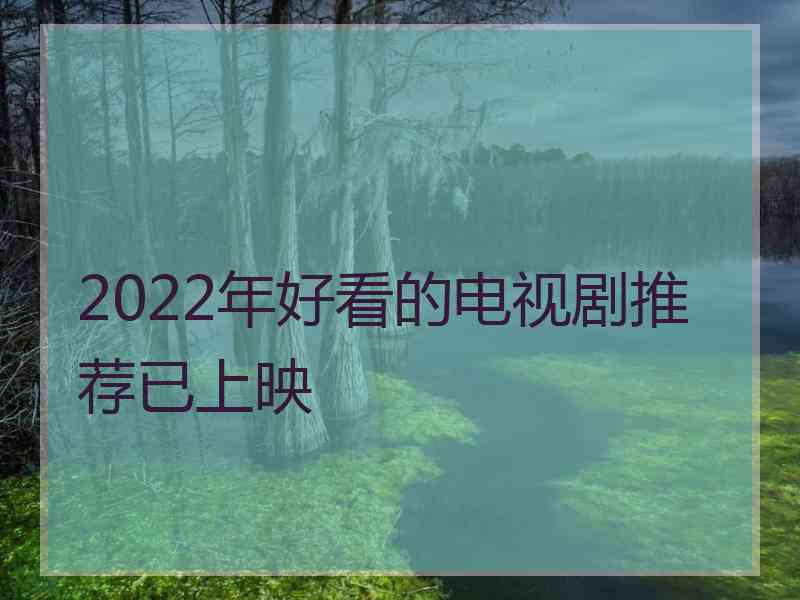 2022年好看的电视剧推荐已上映