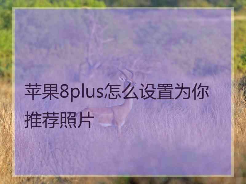 苹果8plus怎么设置为你推荐照片