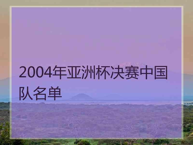 2004年亚洲杯决赛中国队名单