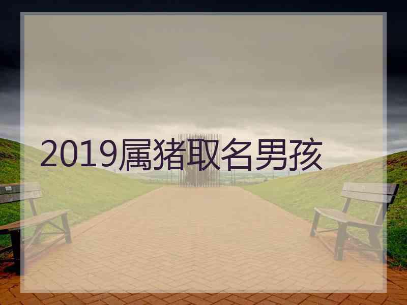 2019属猪取名男孩