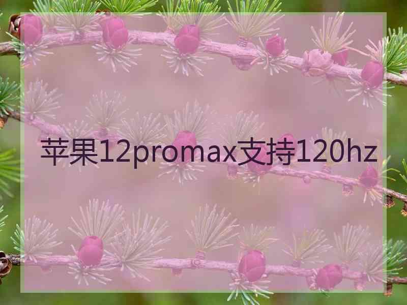 苹果12promax支持120hz