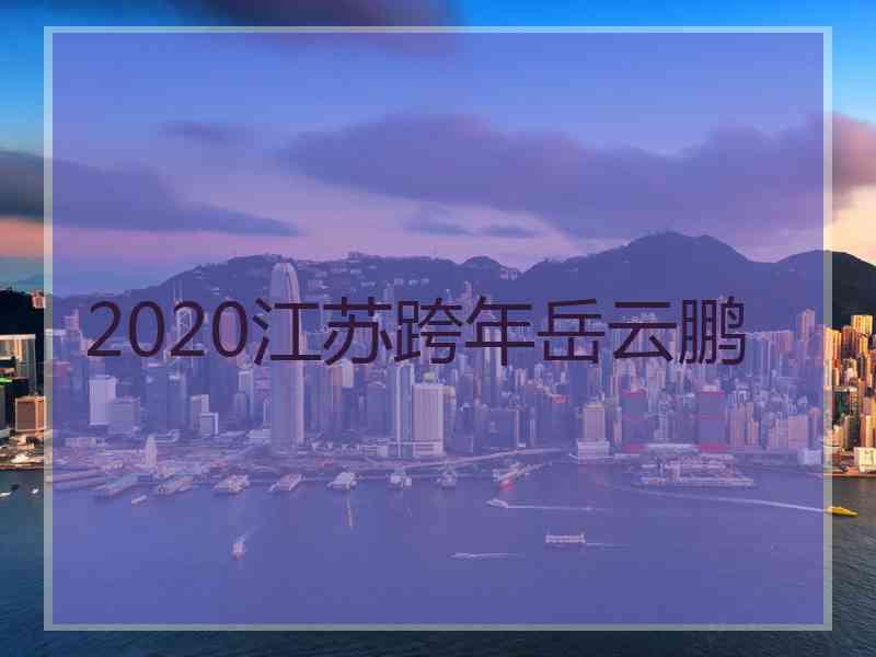 2020江苏跨年岳云鹏