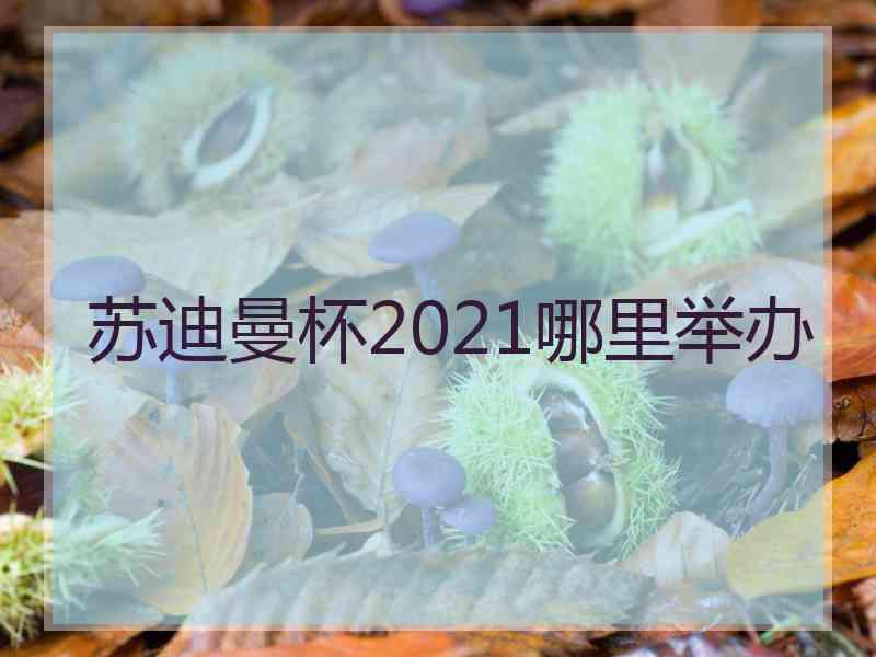 苏迪曼杯2021哪里举办