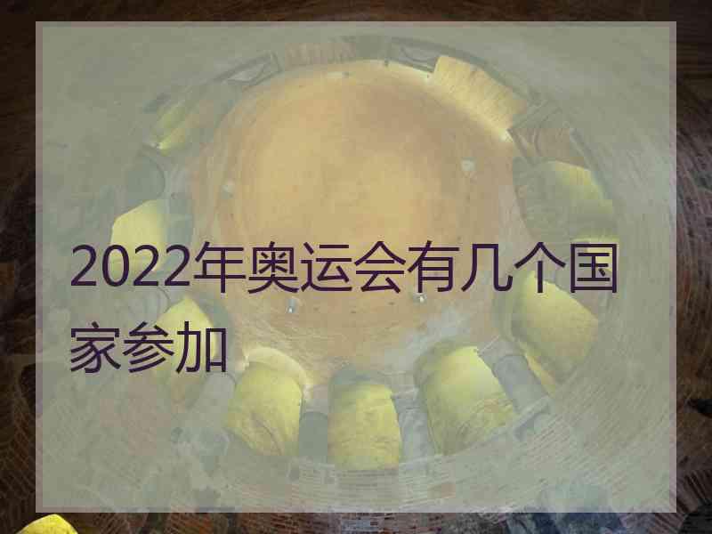 2022年奥运会有几个国家参加