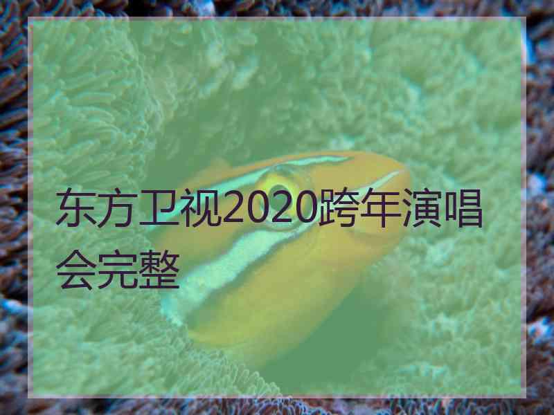 东方卫视2020跨年演唱会完整