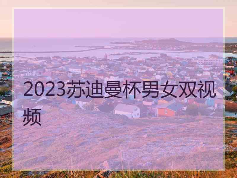 2023苏迪曼杯男女双视频