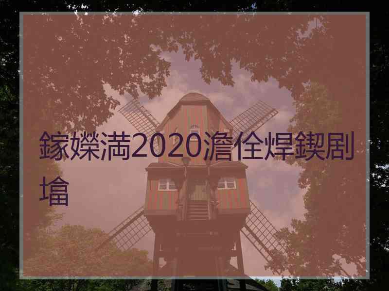 鎵嬫満2020澹佺焊鍥剧墖