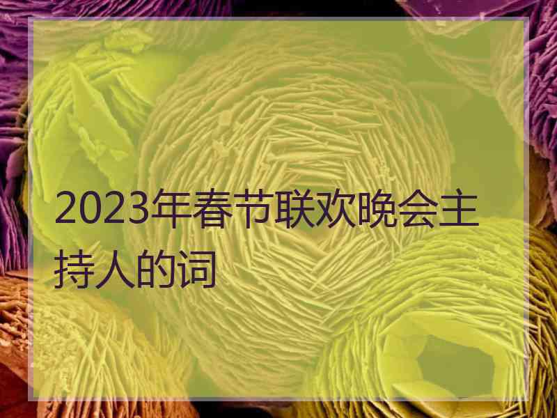 2023年春节联欢晚会主持人的词