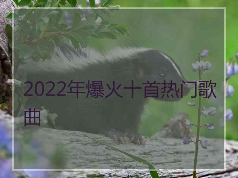 2022年爆火十首热门歌曲