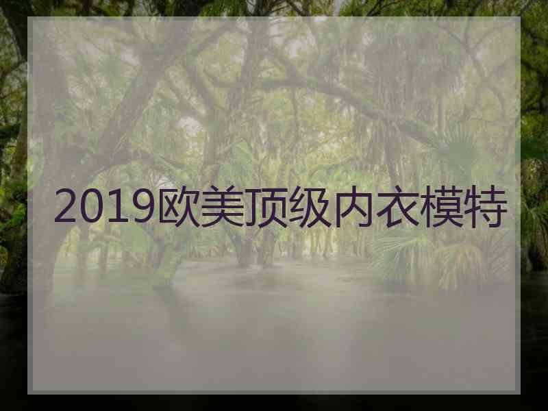 2019欧美顶级内衣模特