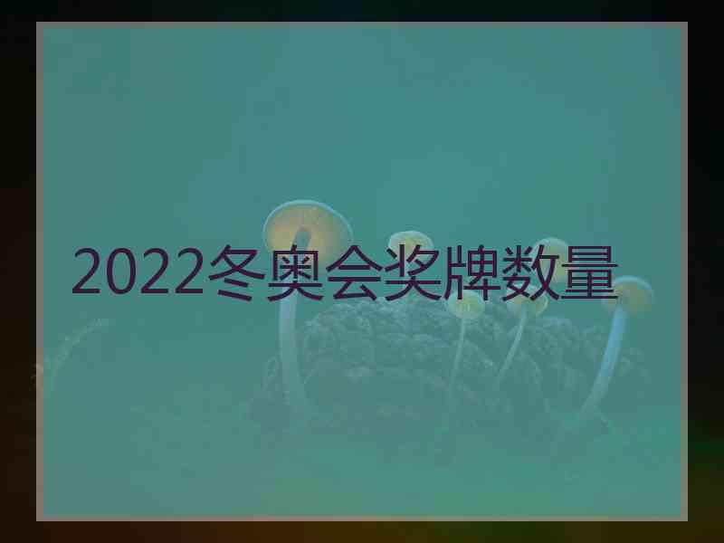 2022冬奥会奖牌数量