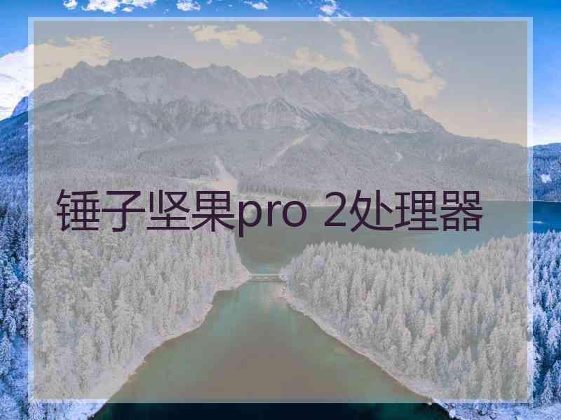 锤子坚果pro 2处理器