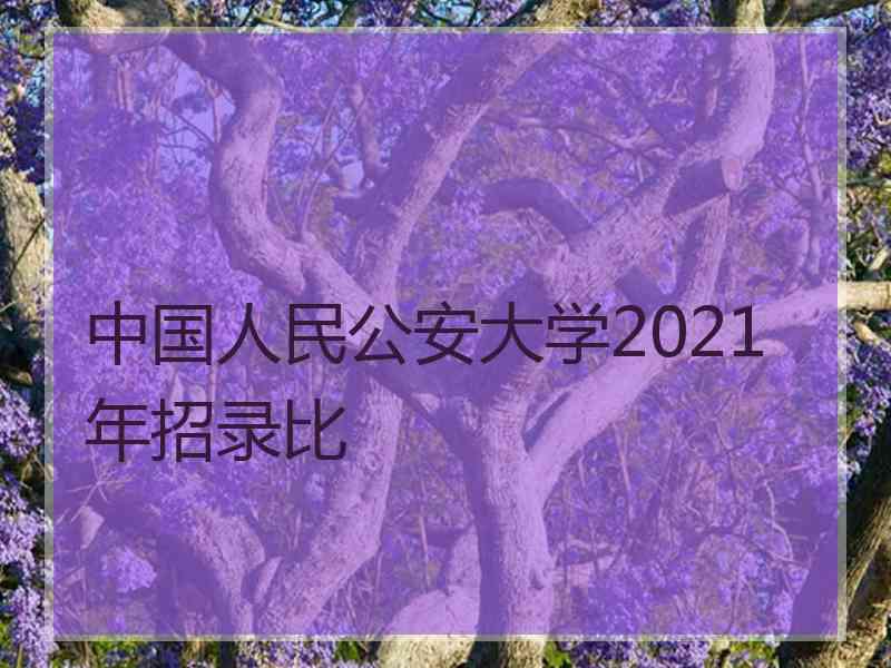 中国人民公安大学2021年招录比