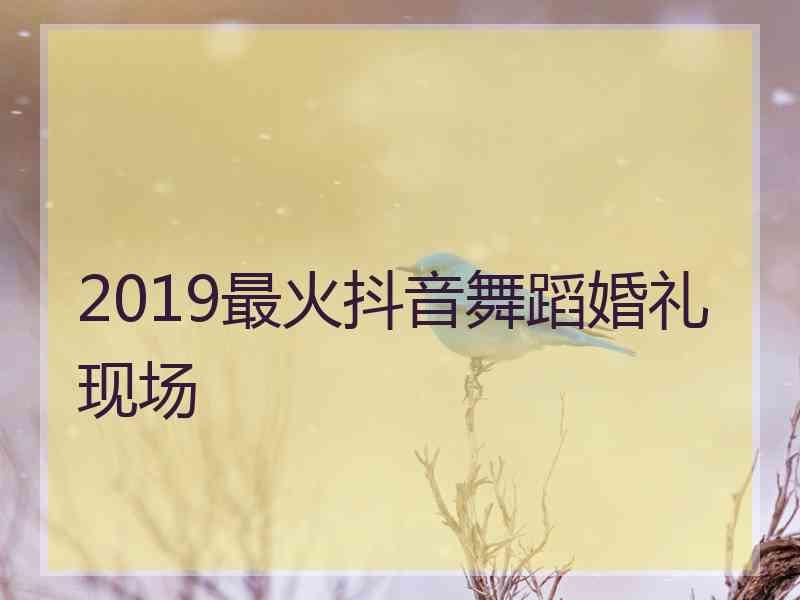 2019最火抖音舞蹈婚礼现场