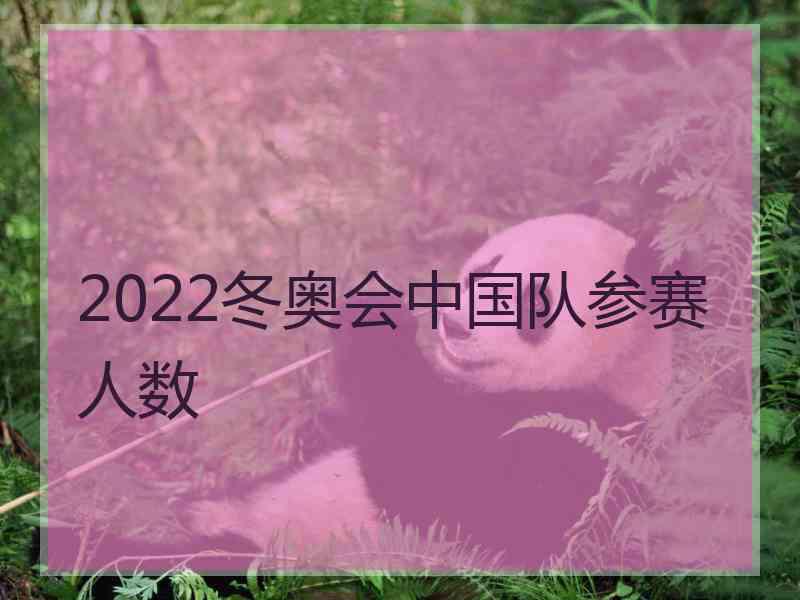 2022冬奥会中国队参赛人数