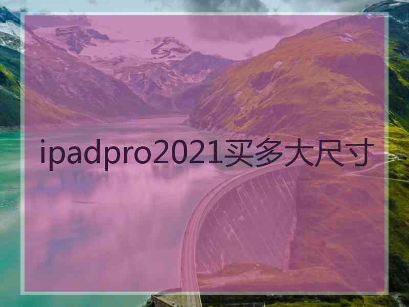 ipadpro2021买多大尺寸