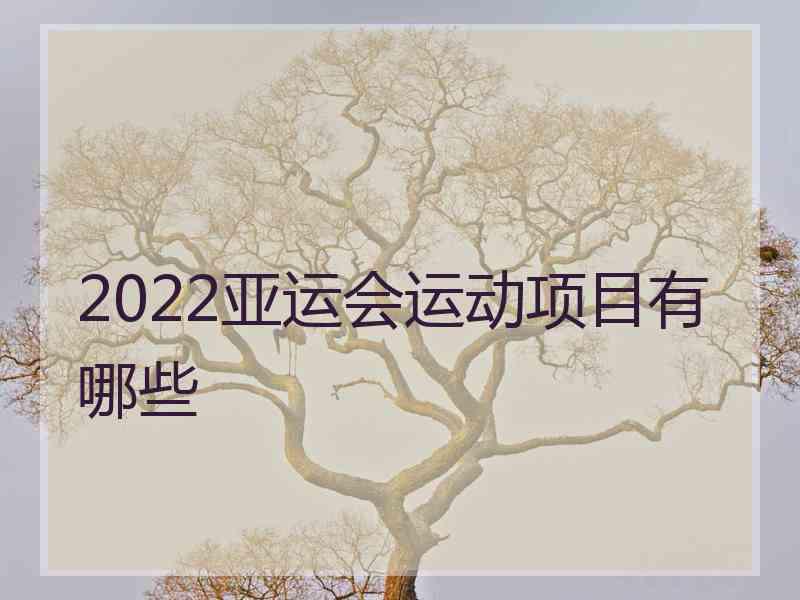 2022亚运会运动项目有哪些