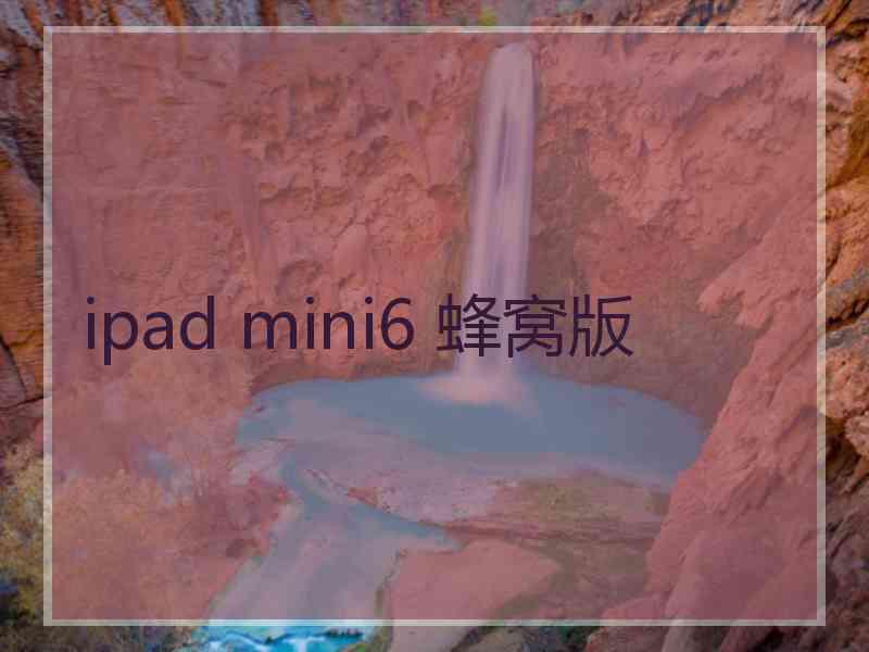 ipad mini6 蜂窝版