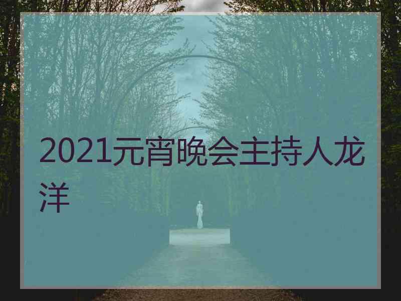 2021元宵晚会主持人龙洋