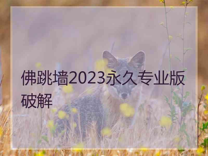 佛跳墙2023永久专业版破解