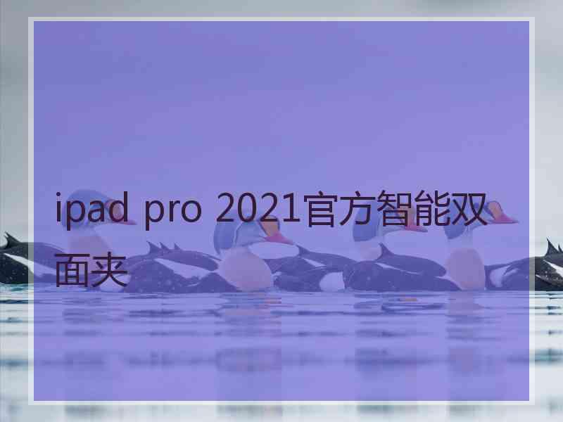 ipad pro 2021官方智能双面夹