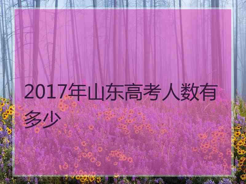 2017年山东高考人数有多少