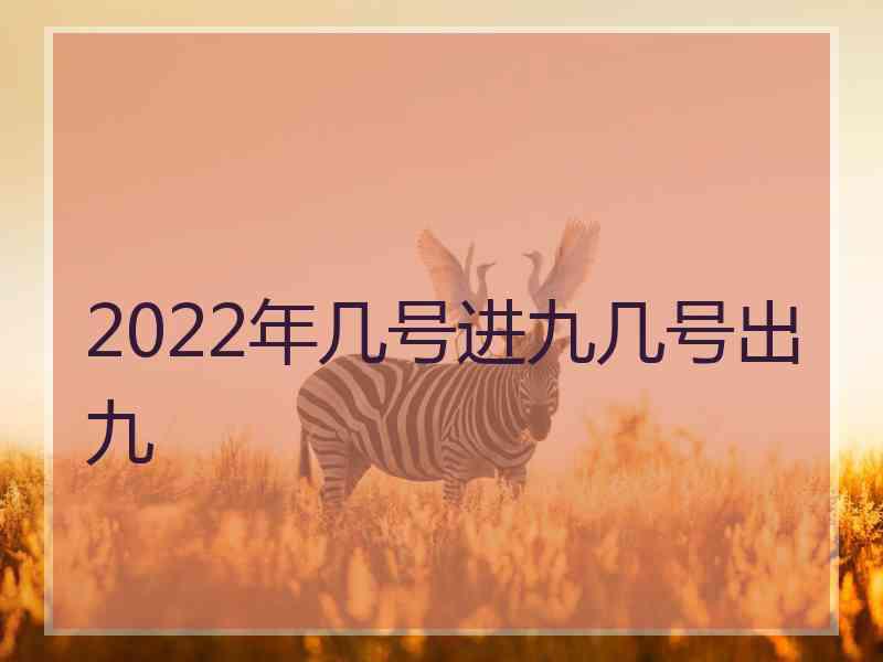 2022年几号进九几号出九